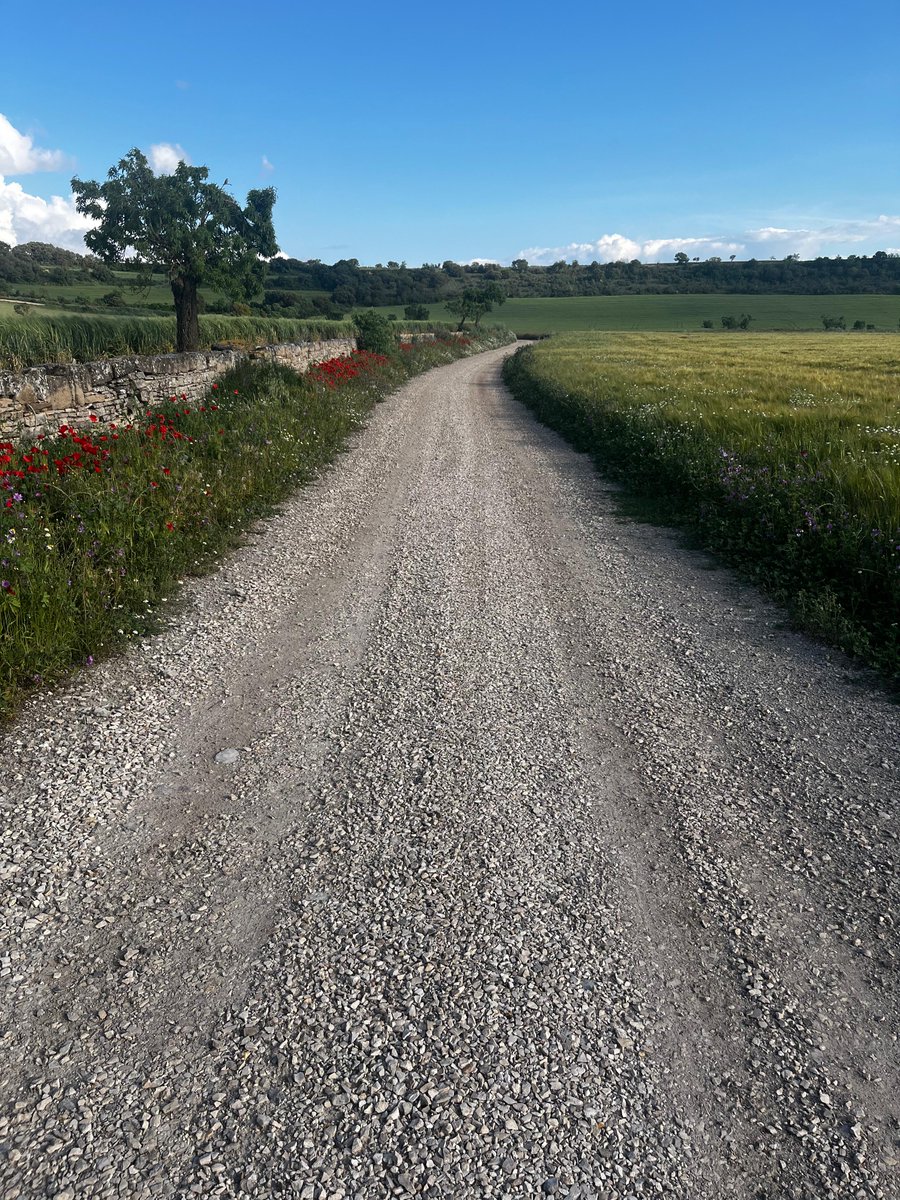 AJSantRamon's tweet image. 👉 L’Ajuntament de Sant Ramon, amb la col·laboració del Coto, repara més de 10 km de camins durant el mes de maig
📌Ha comptat també amb una subvenció de la @DiputacioLleida 

📲 Més informació 👉 santramon.ddl.net