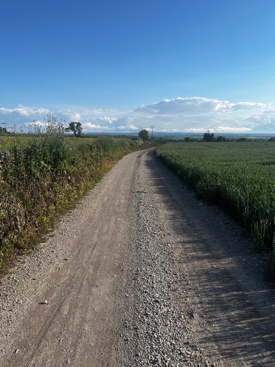 AJSantRamon's tweet image. 👉 L’Ajuntament de Sant Ramon, amb la col·laboració del Coto, repara més de 10 km de camins durant el mes de maig
📌Ha comptat també amb una subvenció de la @DiputacioLleida 

📲 Més informació 👉 santramon.ddl.net