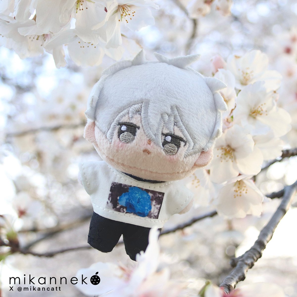 🌸販売情報🌸 みかんねこ┊@mikancatt 【ꫛꫀꪝ 】8cmシャツ/パンツ