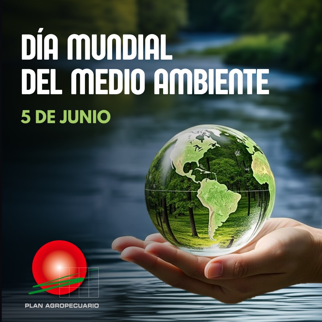 5 de junio - Día Mundial del Medio Ambiente ♻️
"Cuidar la naturaleza es cuidar nuestro hogar; apostemos por una producción responsable que preserve nuestros recursos naturales para las generaciones futuras"

#ResponsabilidadAmbiental #Conservación #Ecosistema #Sostenibilidad