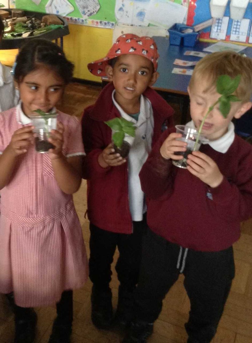 The children have enjoyed learning about plants and what they need to grow, they enjoyed planting their own beans and looking at the plants and herbs in our new sensory garden! A big thank you to Thompsons at crews hill who kindly donated the plants to us!