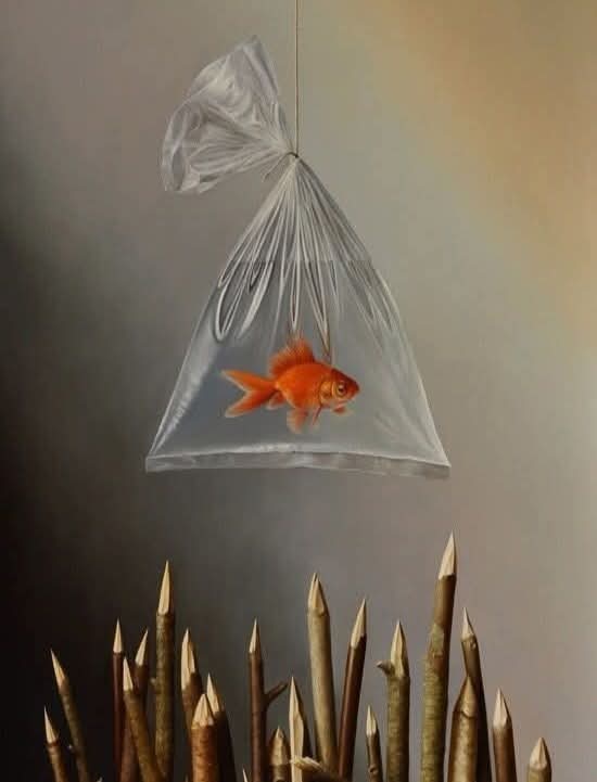 تم پر نفسیاتی حملہ تمہارے اپنے کریں گے غیروں کو کیا معلوم دل کی دیوار کہاں سے کمزور ہے۔