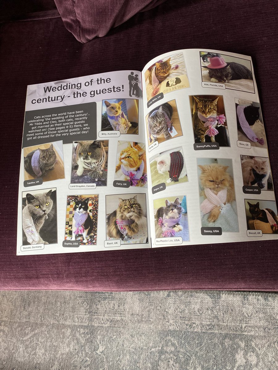 👩🏻‍🍳cleaning out drawers found this .. 
So many memories .. #TBT #CatsOfTwitter #CatsOnTwitter