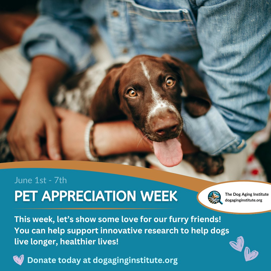 dogaginginst's tweet photo. It’s Pet Appreciation Week! 🐶 Our pets give us unconditional love and comfort every day. 💙 This week, you can help support innovative research to help dogs live longer, healthier lives! ➡ Donate today at https://t.co/XPEsZMWvHH
#PetAppreciationWeek #PetAppreciation https://t.co/yIZU8ZtvMw