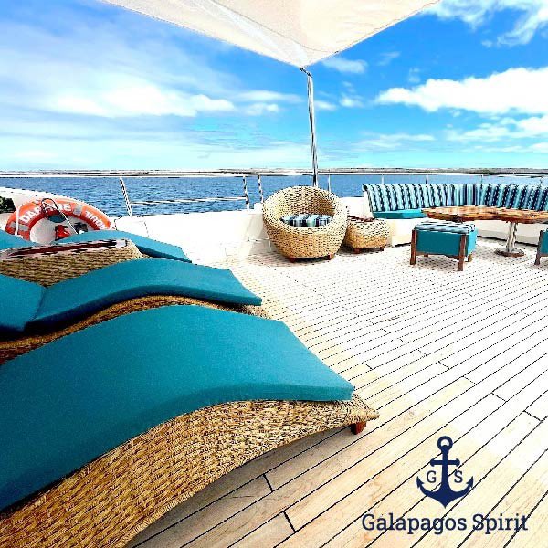 XclusiveEcuador's tweet photo. Christmas Galápagos cruise. Available for a private charter or individual cabins this luxury yacht for 16 passengers takes you to the most unique sites of the Galápagos Islands. #galapagosluxurycharter https://t.co/VS6jwPfGS0