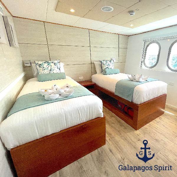 XclusiveEcuador's tweet photo. Christmas Galápagos cruise. Available for a private charter or individual cabins this luxury yacht for 16 passengers takes you to the most unique sites of the Galápagos Islands. #galapagosluxurycharter https://t.co/VS6jwPfGS0