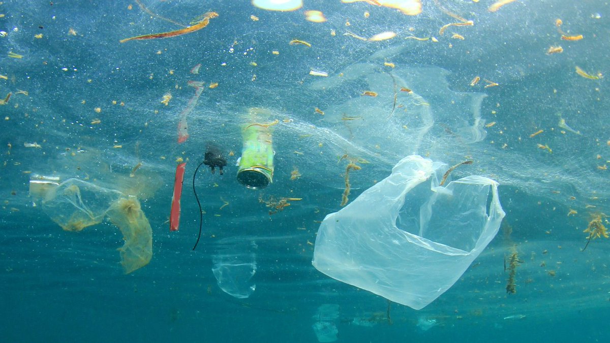 Ambassador Barbara Woodward (@bwoodward_un) on Twitter photo Plastic in our ocean harms marine life, enters the food chain and damages the planet.
Without action, ocean plastic could nearly triple by 2040 and decimate the ocean's ecosystem.
The UK is working towards an ambitious <a href="/UN/">United Nations</a> treaty to end plastic pollution.
#WorldEnvironmentDay Plastic in our ocean harms marine life, enters the food chain and damages the planet.
Without action, ocean plastic could nearly triple by 2040 and decimate the ocean's ecosystem.
The UK is working towards an ambitious <a href="/UN/">United Nations</a> treaty to end plastic pollution.
#WorldEnvironmentDay
