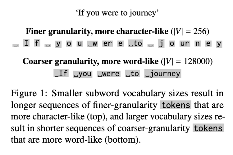 Subword token granularity influences 1) word probabilities at initialization and 2) token co-occurrences during training. How does this impact LM surprisal? We tackled this using Mamba-2 models, which can be flexibly trained on sequences of different lengths. #ACL2025 #ACL2025NLP