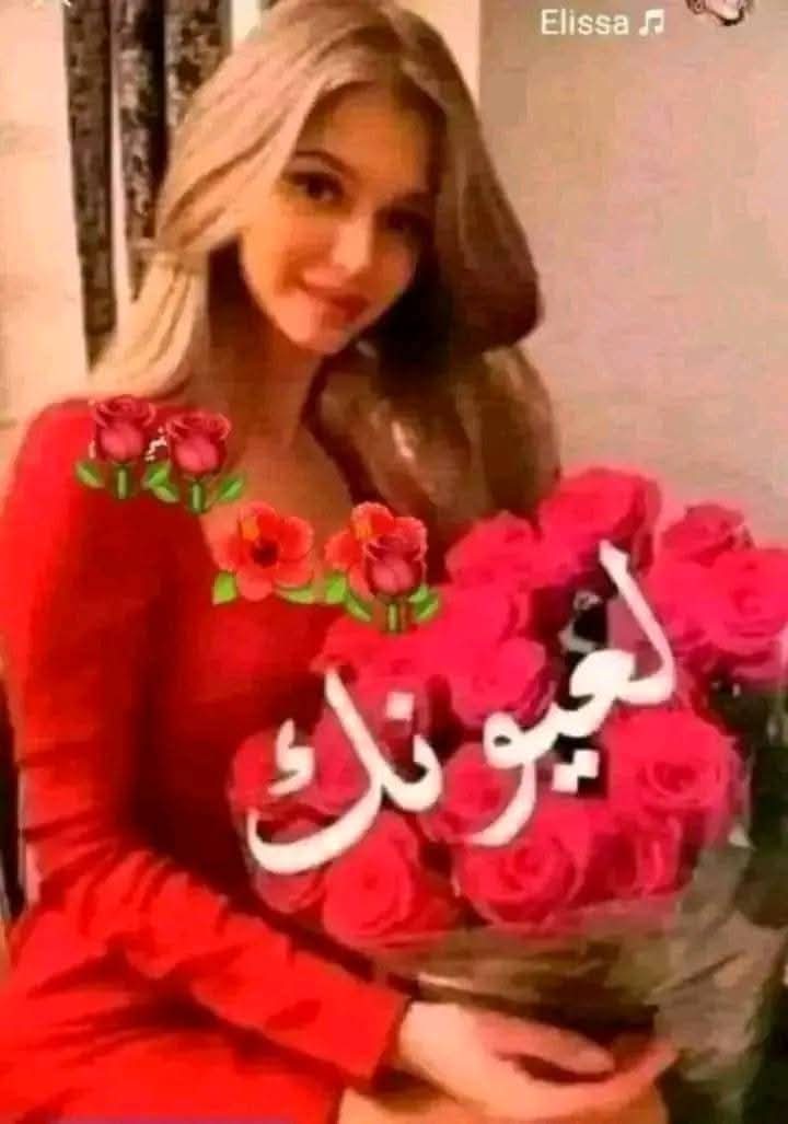 Ali Hashish tweet media