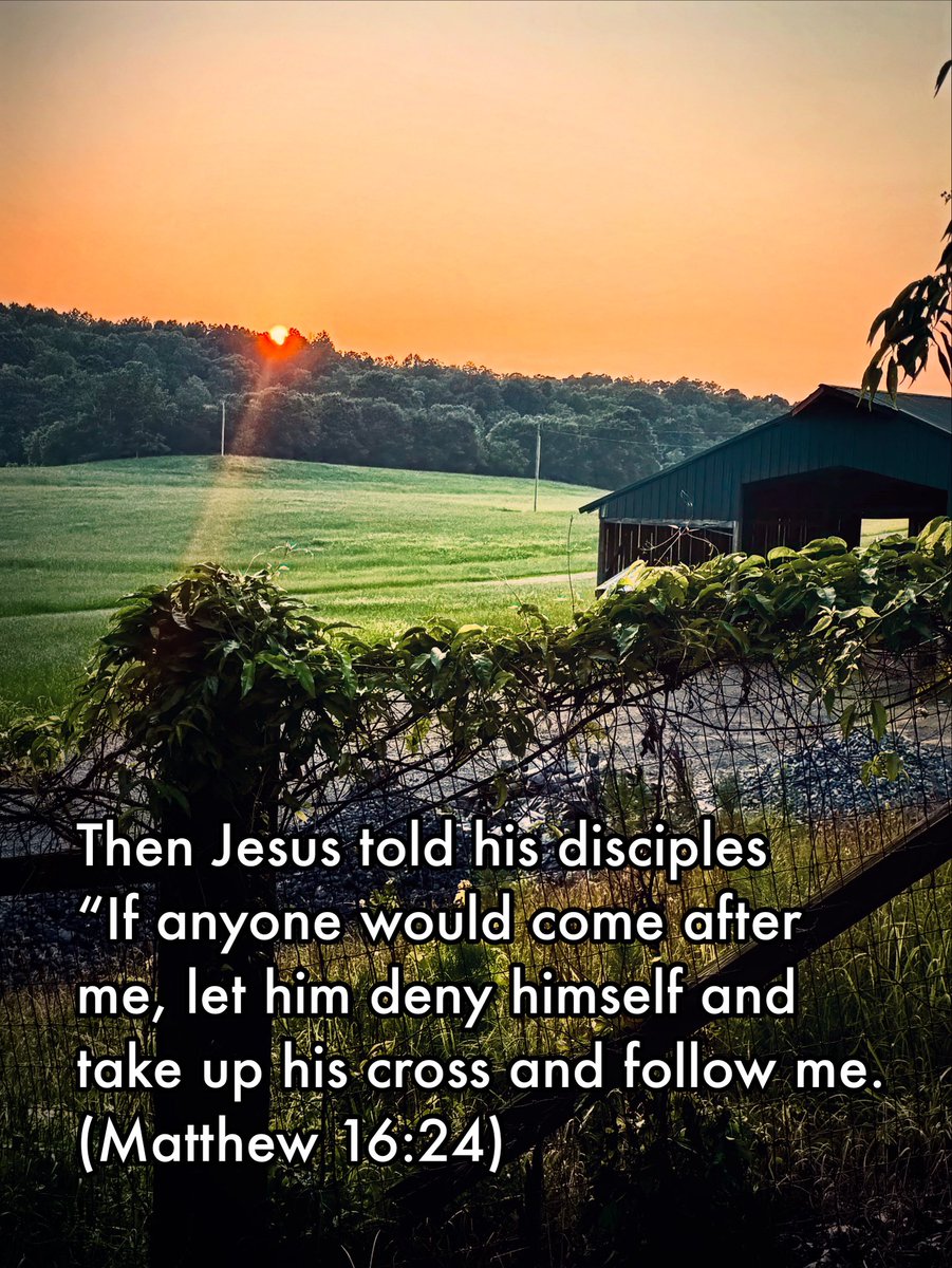 sdcoile's tweet image. Seems there’s a lot of people on this platform really concerned with gaining followers.
Full transparency: following me won’t make much of a difference in your life or get you where you’re supposed to be. Don’t expect much from this ol’ boy. 
However….