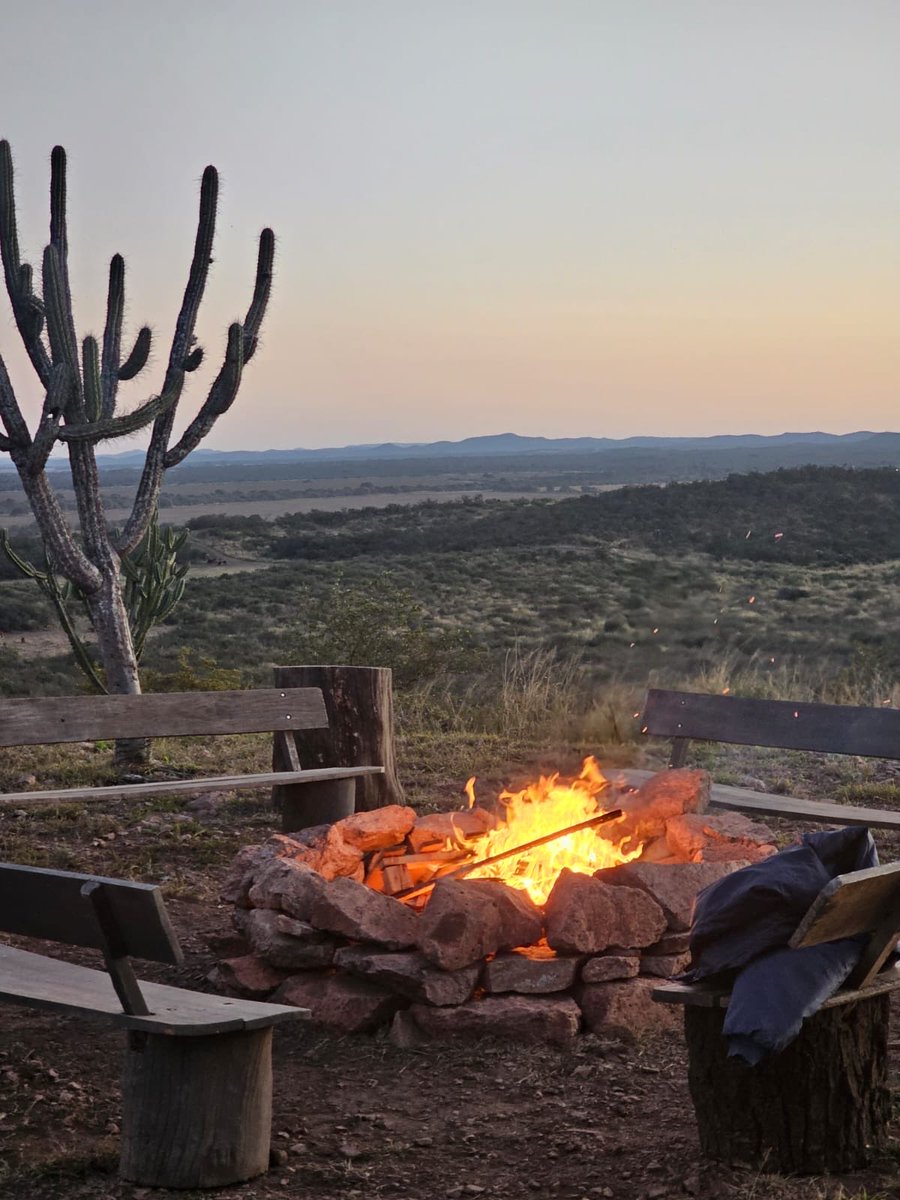 Mario Aguilar 🌽🐖 🐂♻️🧉 tweet media