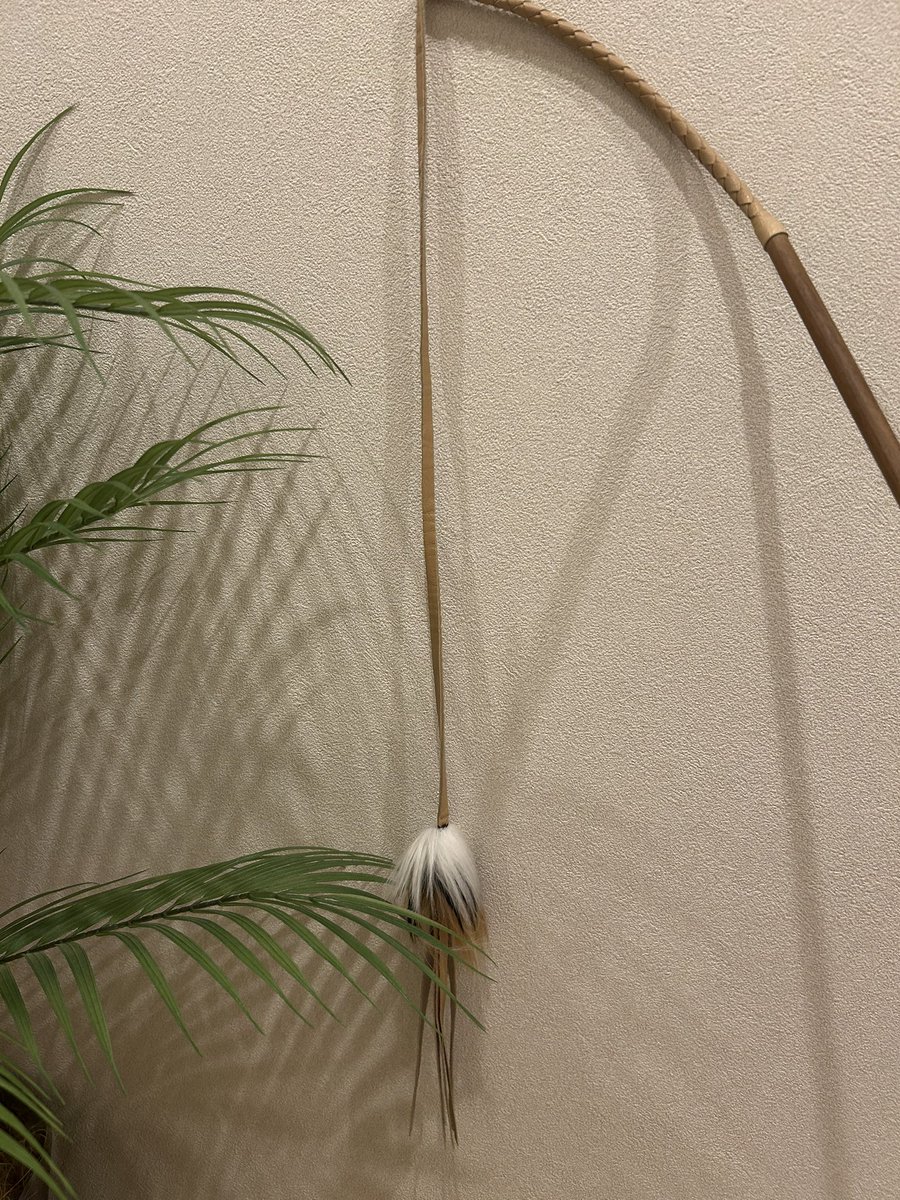 明日から台湾だから
🐶🐈預かってもらったんだけど
家が静か過ぎて寂しくて泣きそう
これ、私のめちゃくちゃオススメな猫じゃらし
上野のパルコ屋5階に売ってるよ
めちゃくちゃ🐈喜ぶし、過去一壊れにくい