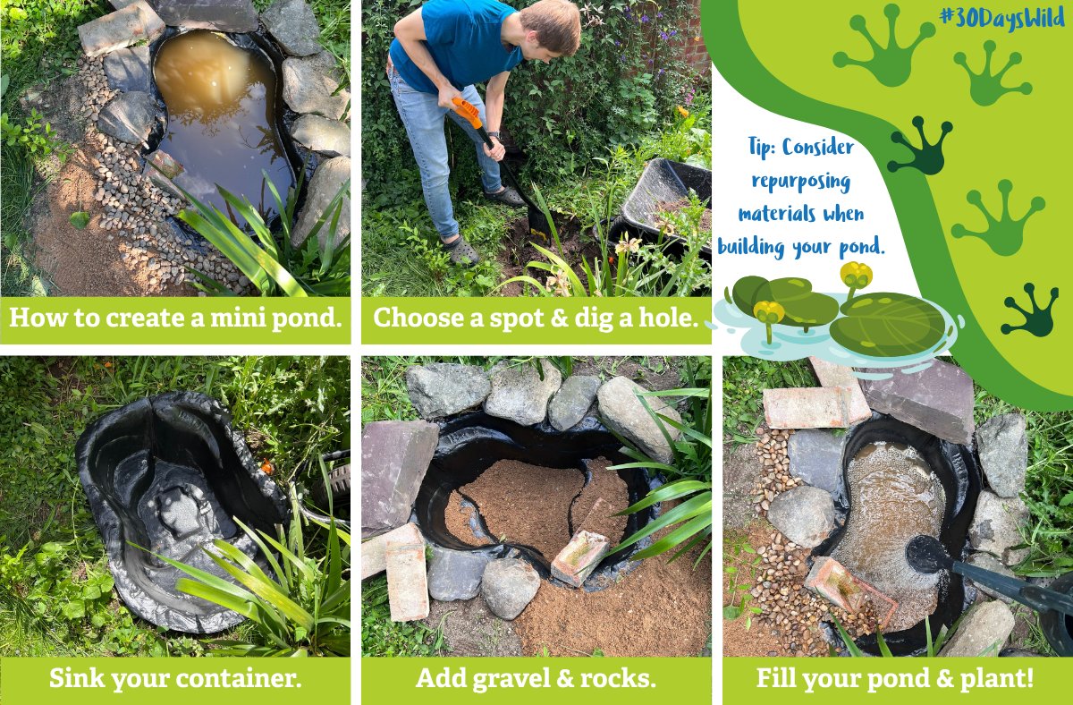 Turn your garden into a wildlife spa this #30DaysWild! 🐸✨💚😌

Welcome nature into your garden or outdoor space. With just a few plants, some rainwater, and a little creativity, you’ll have frogs hopping by in no time.

👉 Guide: wildlifetrusts.org/actions/how-cr…

#Worldenvironmentday