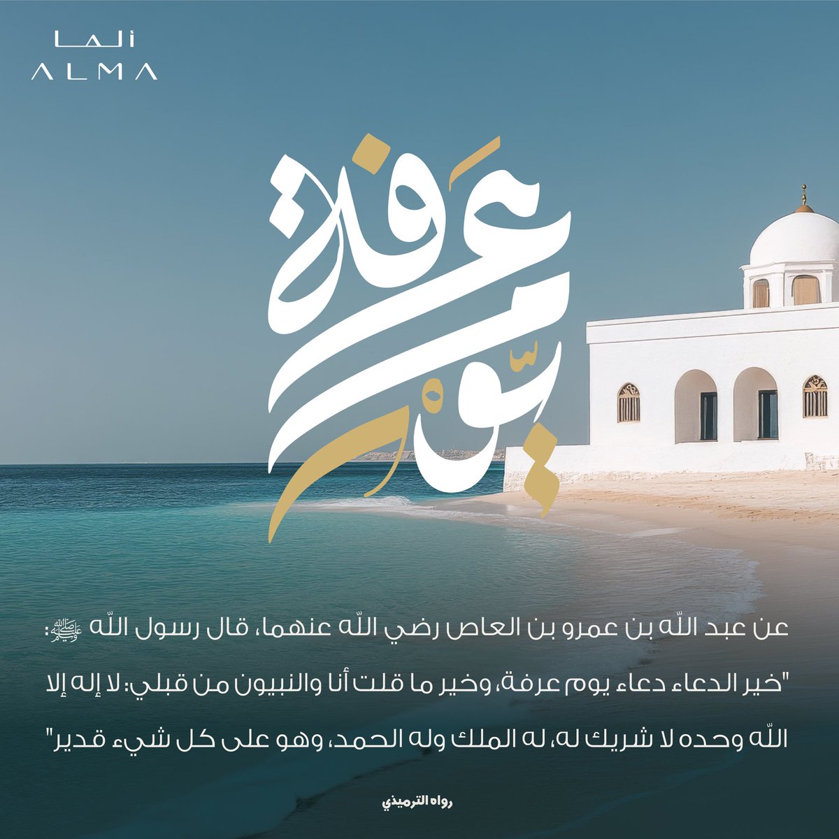 Alma Destination | وجهة ألما tweet media