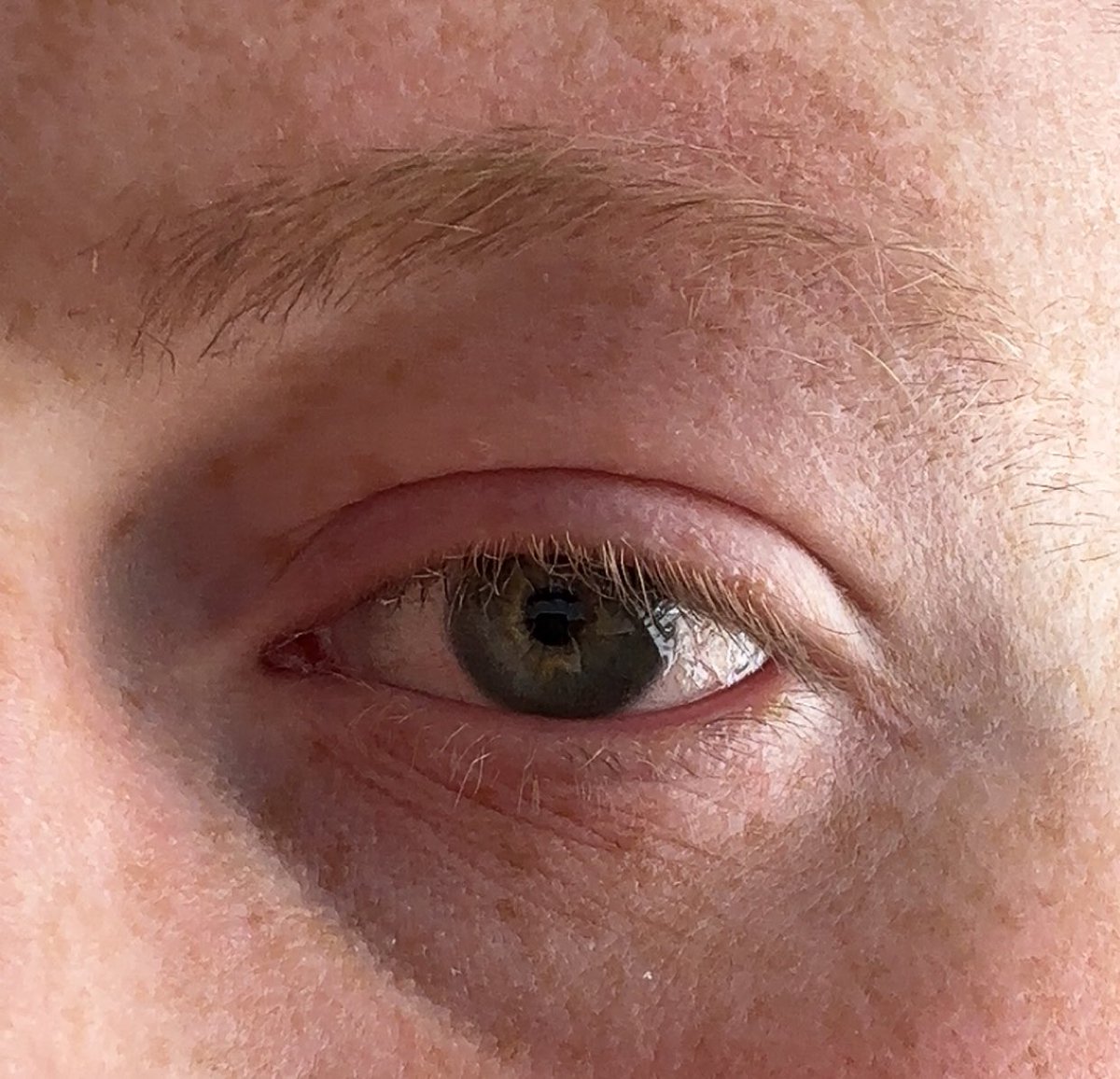 edeninho🦚 tweet media