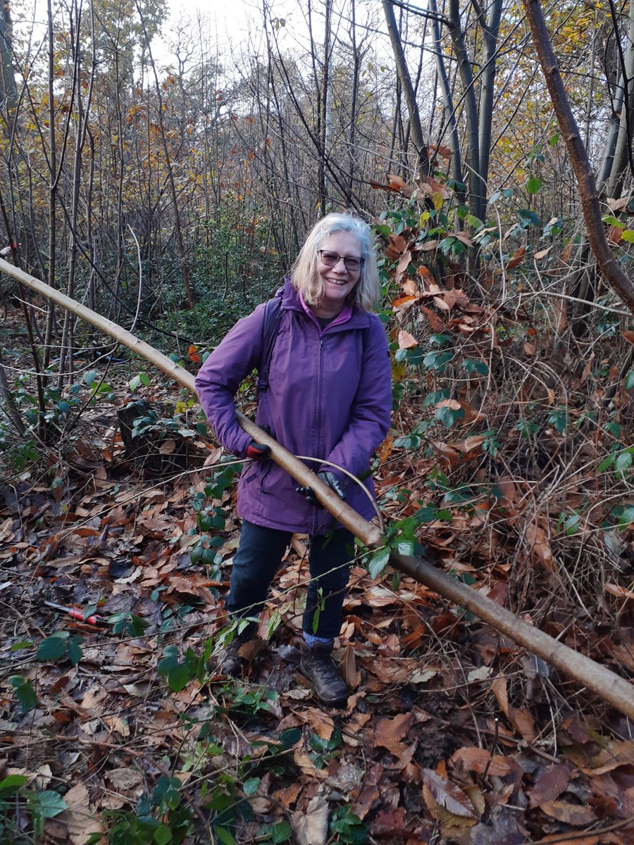 It's #VolunteersWeek and we’re celebrating the incredible people that help and support the Essex Country Parks👏

Fancy volunteering?
The benefits of volunteering are limitless. And the contributions made are vital.

Please contact your chosen park: explore-essex.com/places-to-go/o…