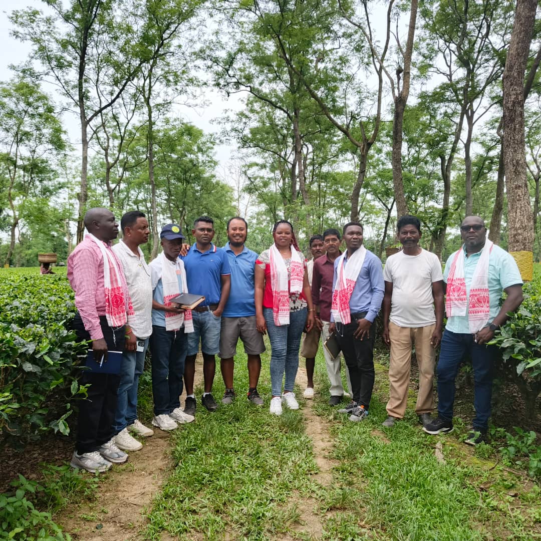 SilverbackTea's tweet photo. A warm welcome awaited our delegation at Sepon Tea Estate, where we enjoyed a fresh cup of tea brewed right at the source. Renowned for its high-quality clones, Sepon delivers a rich, full-bodied flavor that reflects its commitment to excellence.

#RwandaTea #Sorwathe #TeaExchange #SeponTeaEstate #SustainableTea #FromLeafToCup