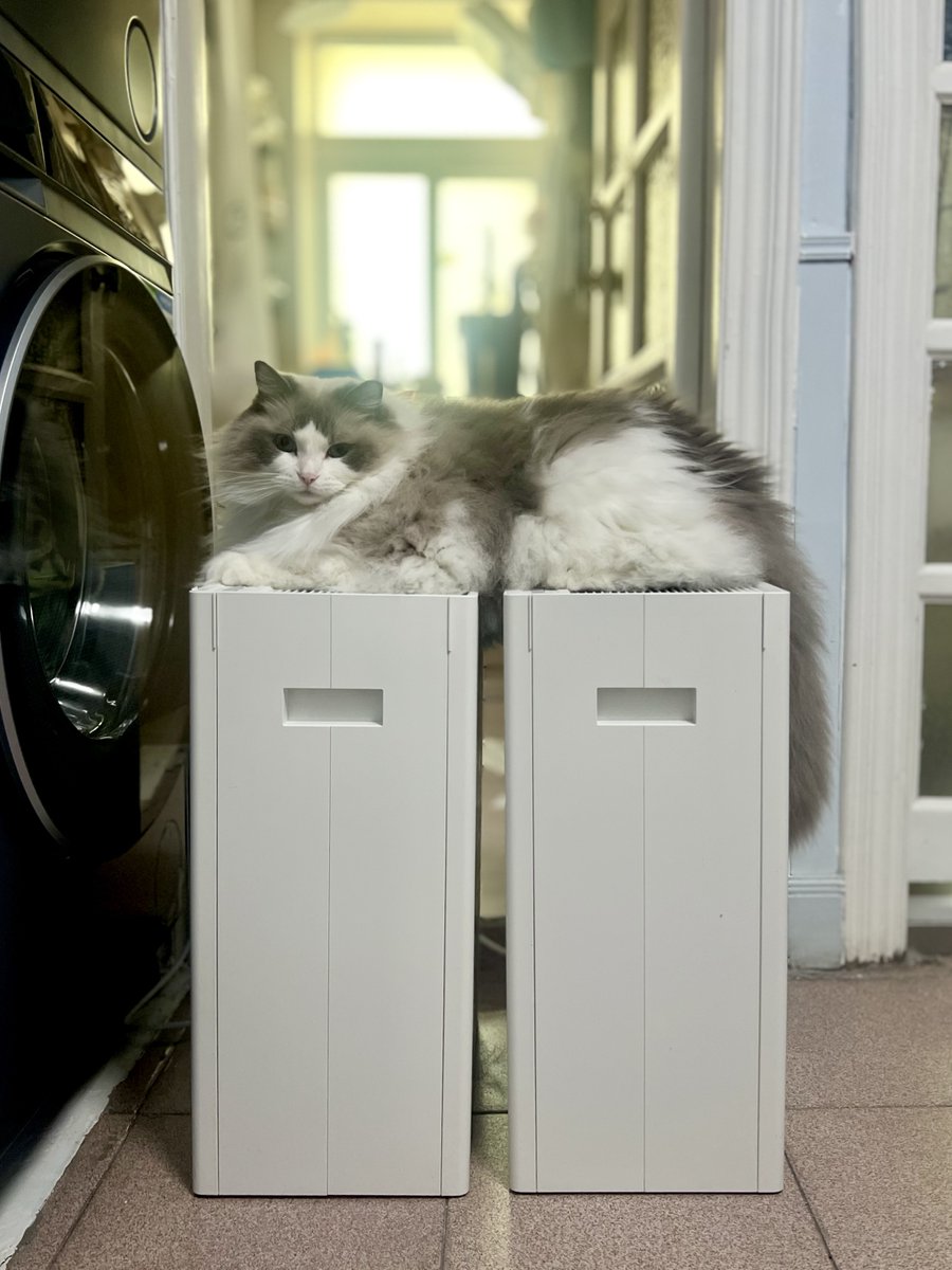 One air purifier? Great. Two? Even better.