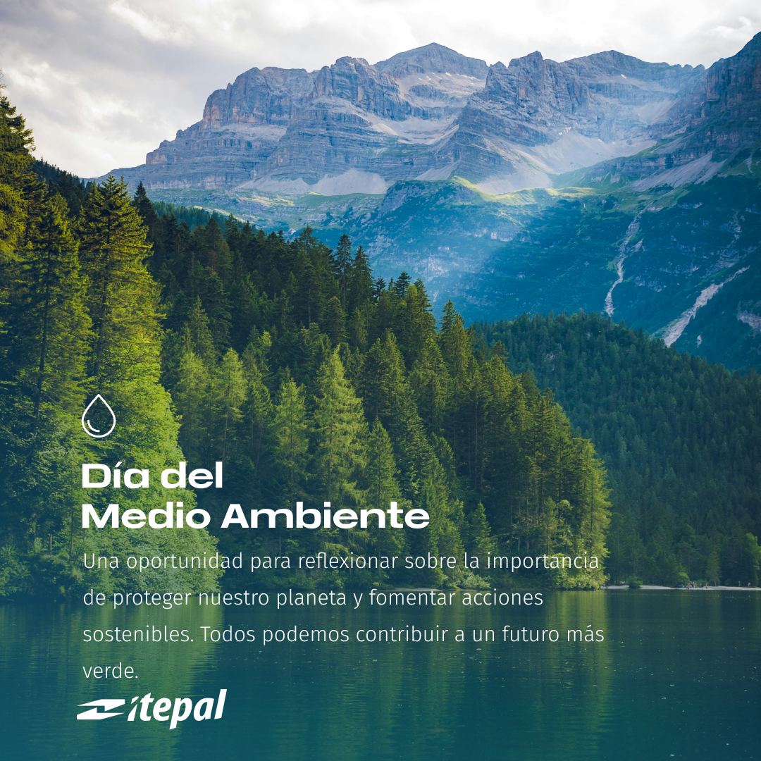 🌍 Hoy celebramos el Día Mundial del Medio Ambiente 🌲

En Itepal creemos que cada acción cuenta para cuidar nuestro planeta. Reafirmamos nuestro compromiso con soluciones logísticas responsables.

¡Cuidemos juntos de nuestro hogar! 🌱💪
.
.
#Itepal #DiaDelMedioAmbiente
