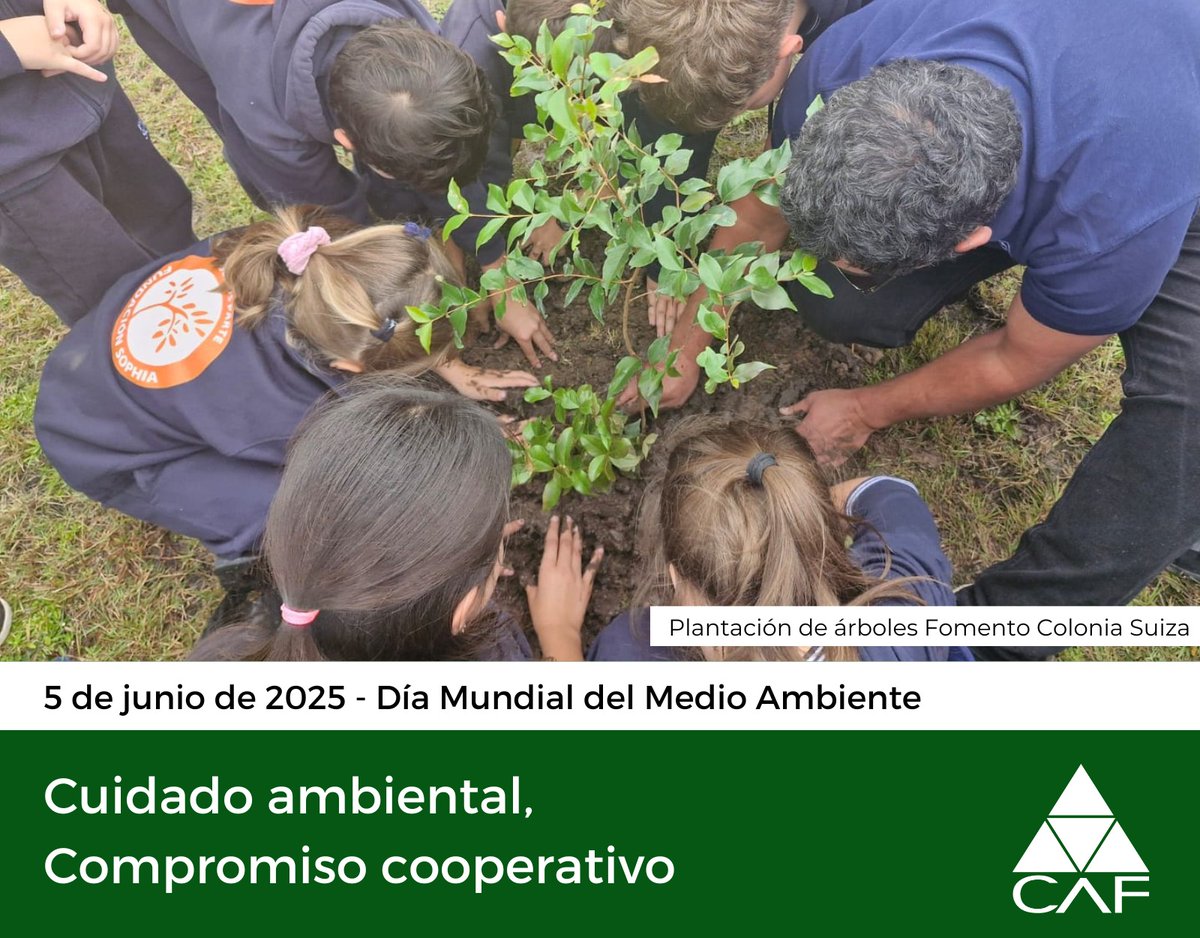 🌎En el #DiaMundialDelMedioAmbiente, desde CAF reforzamos una vez más el compromiso de las cooperativas agrarias con el Desarrollo Agrario Sostenible. 

Juntos, por un futuro más próspero y sostenible 🙌🌱