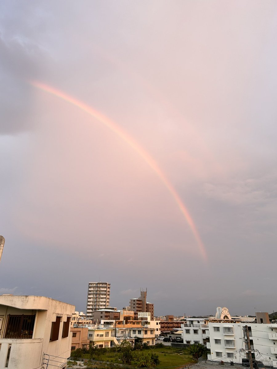 jiru24577907's tweet photo. 沖縄きて見る機会は増えたけど🌈
や��ぱり見つけると感動✨ https://t.co/4N1yuB36fv