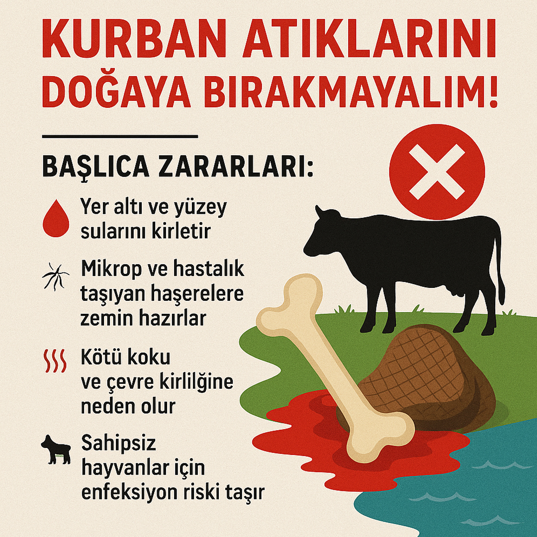 Kurban Bayramı, paylaşmanın, dayanışmanın ve manevi değerlerimizi yaşatmanın en güzel zamanlarından biridir. Ancak, kurban kesimi sonrası ortaya çıkan atıklar, doğru şekilde bertaraf edilmediğinde çevre kirliliğine ve halk sağlığına ciddi zararlar verebilmektedir.

🔴 Sokak, park