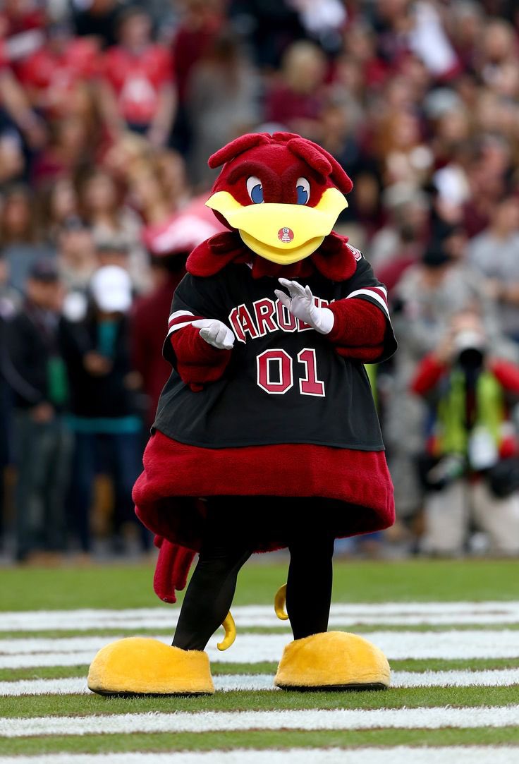 Shamil Saadiq jr (@_mill3x) on Twitter photo I will be at South Carolina tomorrow cant wait to compete! <a href="/CoachSBeamer/">Shane Beamer</a> <a href="/coachfurrey/">Mike Furrey</a> <a href="/P_Ellsworth_USC/">Preston Ellsworth</a> <a href="/samspiegs/">Sam Spiegelman</a> <a href="/gray_mann21/">Grayson Mann</a> <a href="/TheUCReport/">Billy Tucker</a> <a href="/RivalsFriedman/">Adam Friedman</a> <a href="/RivalsWardlaw/">Lee Wardlaw</a>
<a href="/AnnaH247/">Anna Adams</a> <a href="/ChadSimmons_/">ChadSimmons</a> <a href="/LouatTheState/">Lou Bezjak</a> <a href="/SWiltfong_/">Steve Wiltfong</a> <a href="/CoachLiljon/">Jarvis Littlejohn</a> <a href="/VincentAlbano6/">Vinny Albano</a> I will be at South Carolina tomorrow cant wait to compete! <a href="/CoachSBeamer/">Shane Beamer</a> <a href="/coachfurrey/">Mike Furrey</a> <a href="/P_Ellsworth_USC/">Preston Ellsworth</a> <a href="/samspiegs/">Sam Spiegelman</a> <a href="/gray_mann21/">Grayson Mann</a> <a href="/TheUCReport/">Billy Tucker</a> <a href="/RivalsFriedman/">Adam Friedman</a> <a href="/RivalsWardlaw/">Lee Wardlaw</a>
<a href="/AnnaH247/">Anna Adams</a> <a href="/ChadSimmons_/">ChadSimmons</a> <a href="/LouatTheState/">Lou Bezjak</a> <a href="/SWiltfong_/">Steve Wiltfong</a> <a href="/CoachLiljon/">Jarvis Littlejohn</a> <a href="/VincentAlbano6/">Vinny Albano</a>