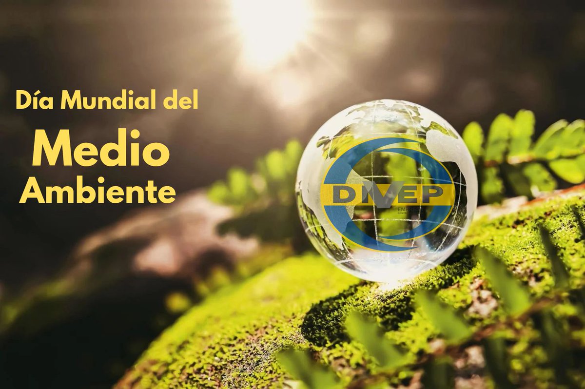 divep_empresa's tweet photo. Hoy celebramos el Día Mundial del Medio Ambiente 🌳 🌍 

¡Juntos podemos construir un futuro más sostenible para las próximas generaciones! 🌱 

#MedioAmbiente  #SomosDivep https://t.co/4l2XK8tQX2