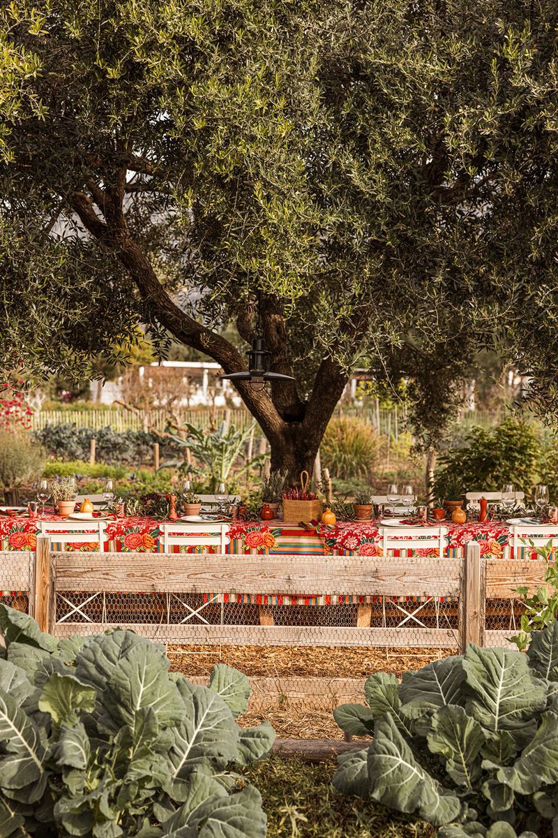 MarbellaClubH's tweet photo. Join us on Friday, 28th of June from 1:30 to 3:30pm for the Summer Edition of #SustainTable, a new chapter in our farm-to-table journey celebrating mindful gastronomy and seasonal cooking.

More info and bookings: 
restaurantes@marbellaclub.com https://t.co/JiRrJnRP11