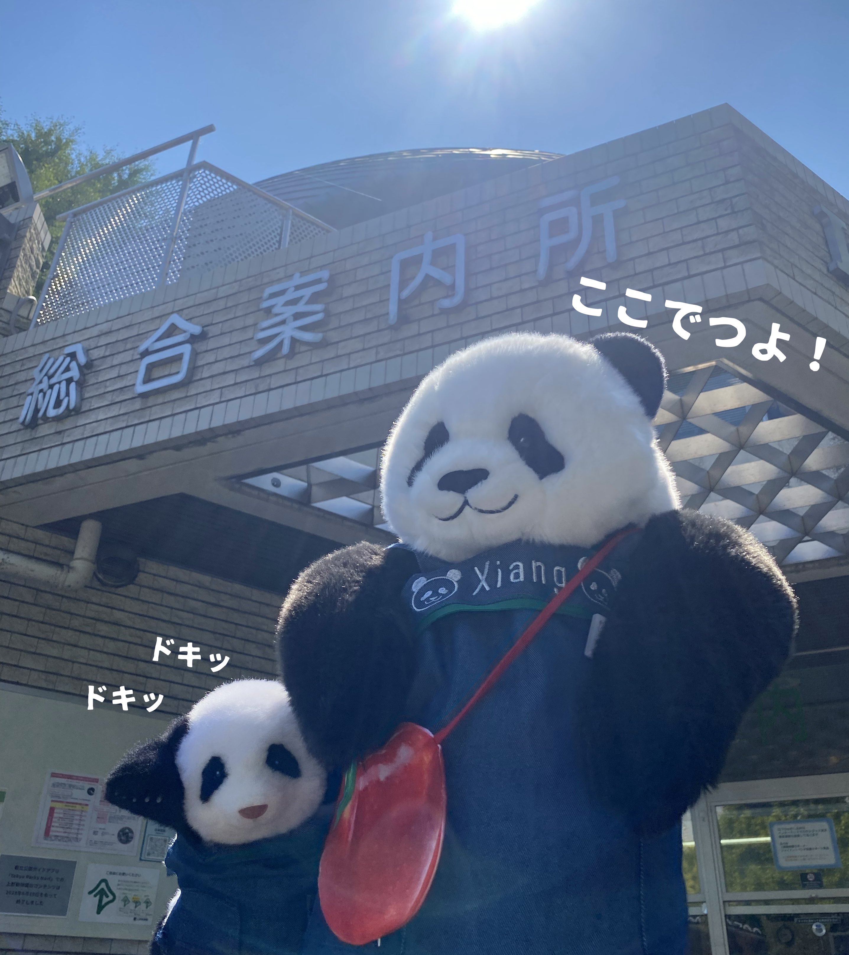 激安 超特価商店街  kuma.xiang (@kumaxiang) X / イラスト