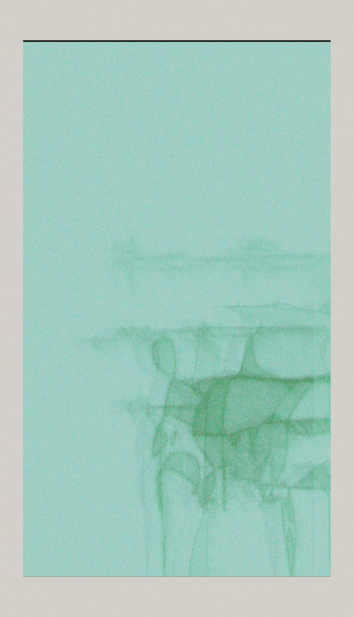 pollaroidish 🍽️