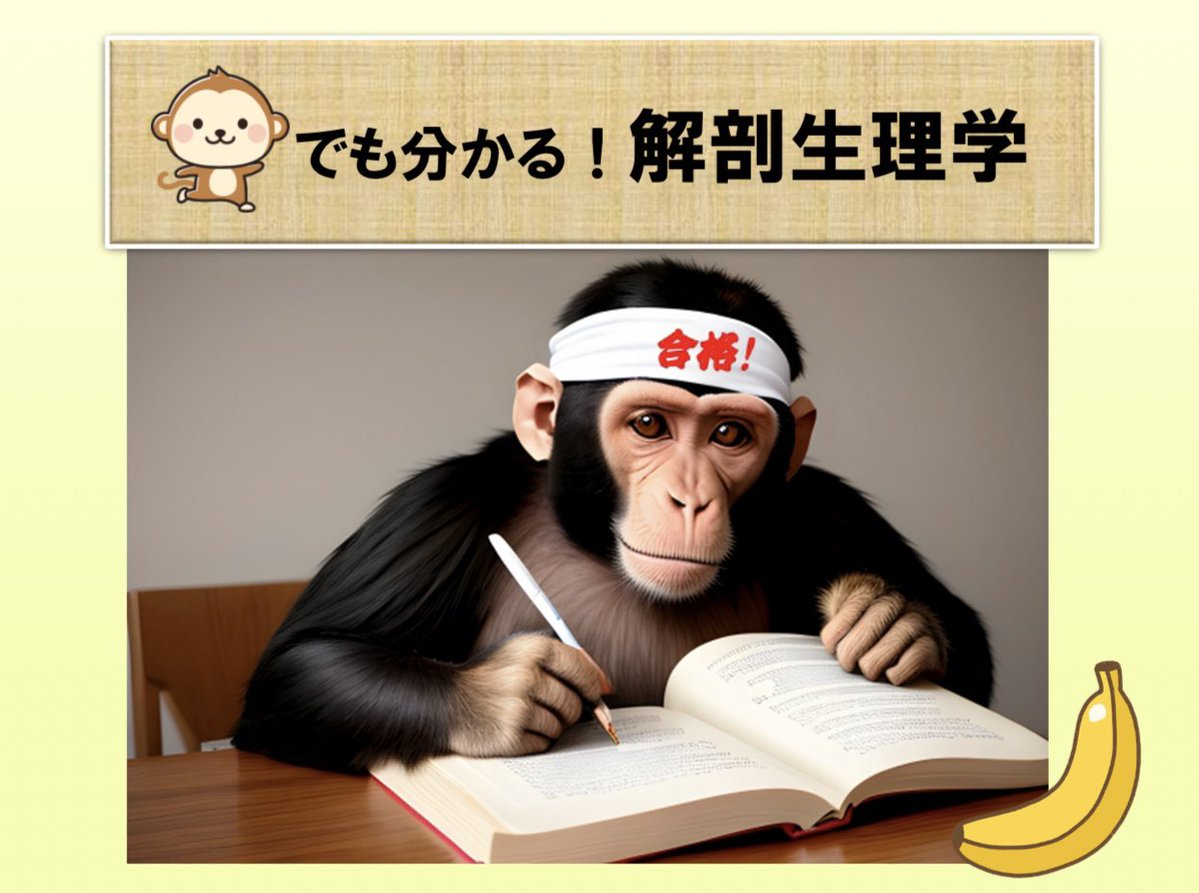 異常の早期発見は看護師の重要な役割の一つ。

その異常の見つけ方は2通。
①異常が無いかを確認する
②正常な状態かを確認する

①だと”異常ではないけど正常ではない”グレーな状態を見逃す。なので②が正解。

②の目を養うためにはしっかりと正常機能を理解することが重要です😊
