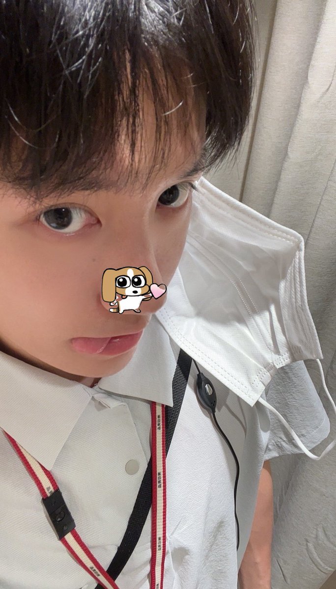 跑路小羊 tweet media
