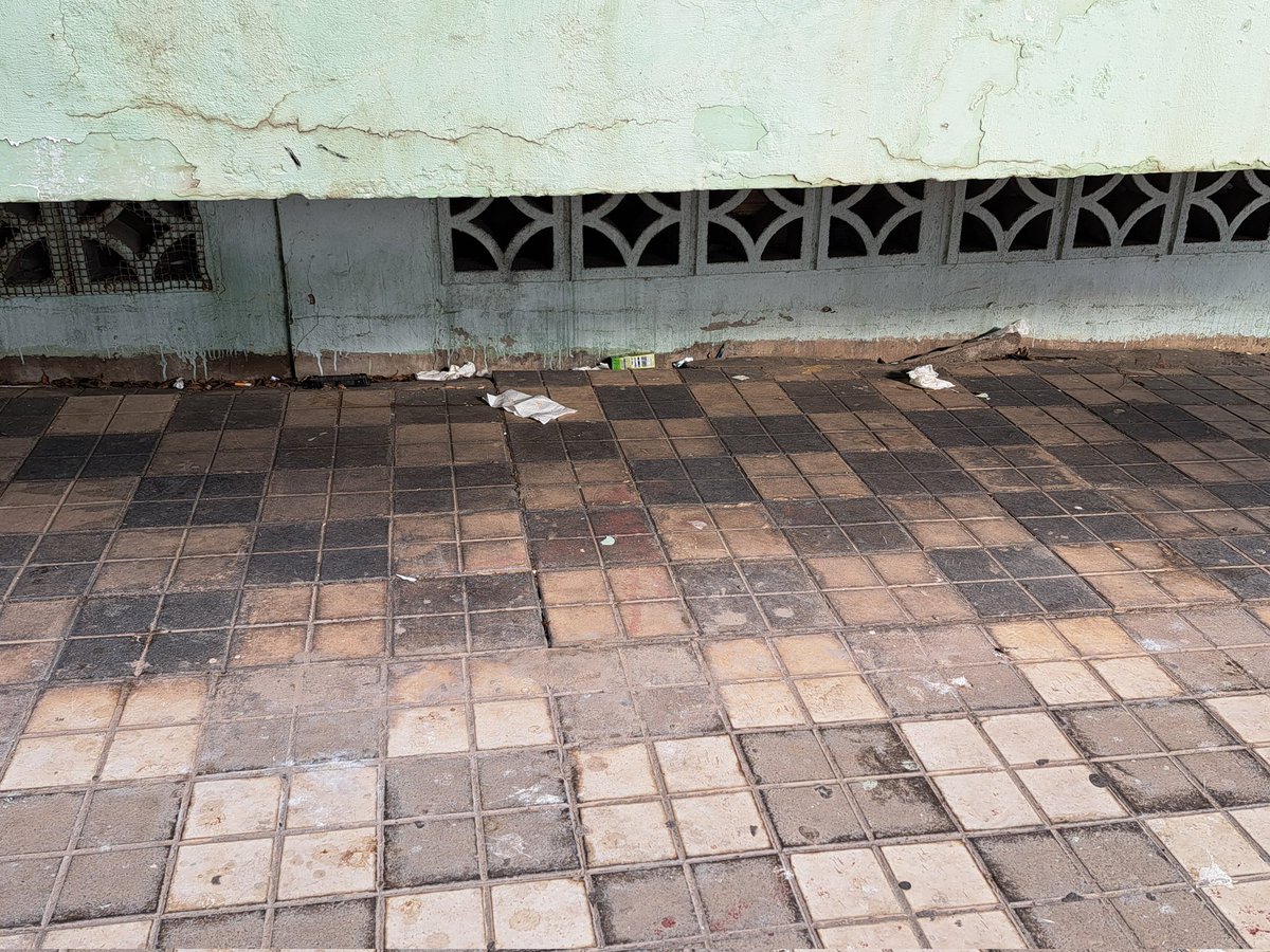 cati_2019's tweet photo. @LimpiezaLPGC @HectorJAleman @gemmartinezsol @jardinesLPGC @aytolpgc @lpgcsostenible Esto es Divina Pastora,  calle Calzada Lateral del Norte número 1. Han limpiado sólo la calle principal, la cara vista para alardear en RRSS, el resto del barrio tenemos que vivir entre basuras y excrementos. Vergonzoso @gemmartinezsol @HectorJAleman https://t.co/a2MDpOf6aI