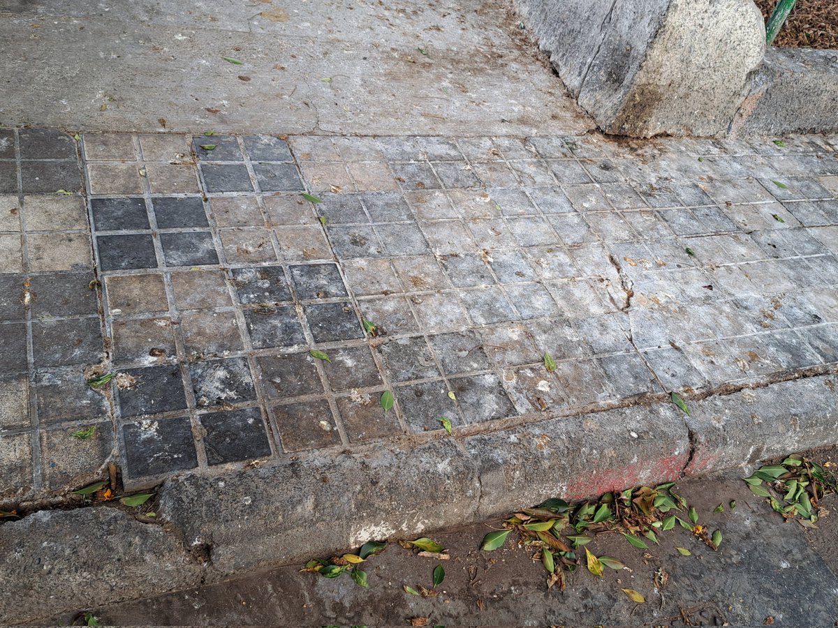 cati_2019's tweet photo. @LimpiezaLPGC @HectorJAleman @gemmartinezsol @jardinesLPGC @aytolpgc @lpgcsostenible Esto es Divina Pastora,  calle Calzada Lateral del Norte número 1. Han limpiado sólo la calle principal, la cara vista para alardear en RRSS, el resto del barrio tenemos que vivir entre basuras y excrementos. Vergonzoso @gemmartinezsol @HectorJAleman https://t.co/a2MDpOf6aI