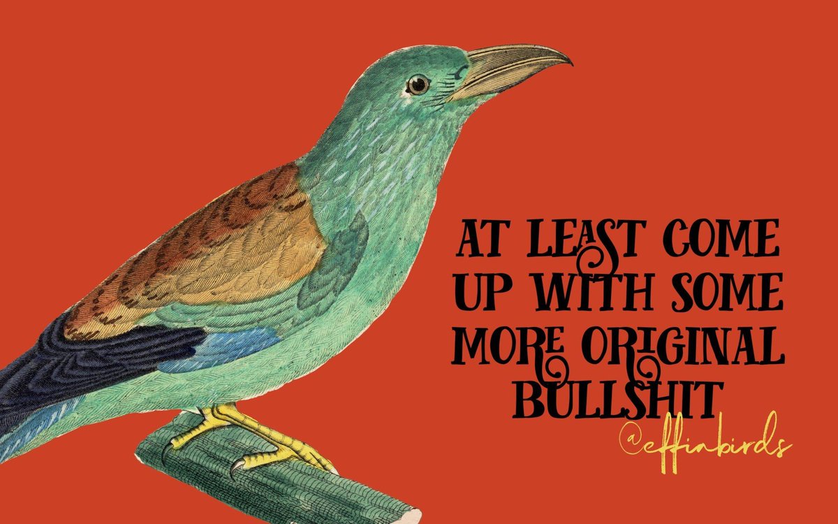 Effin' Birds (@effinbirds) on Twitter photo 