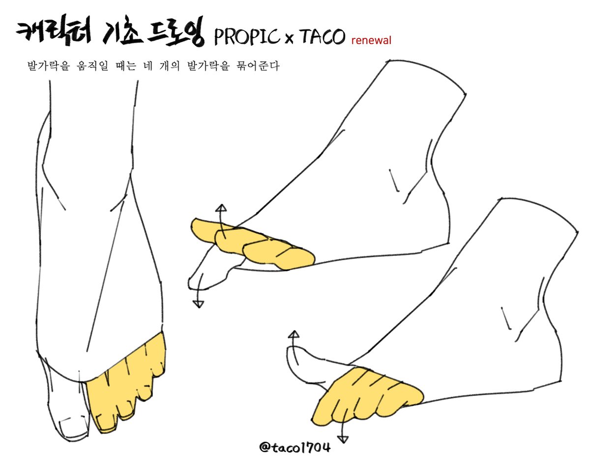 발가락을 움직일 때는 네 발가락을 묶어준다 
足の指を動かすときは四つの足の指を縛る