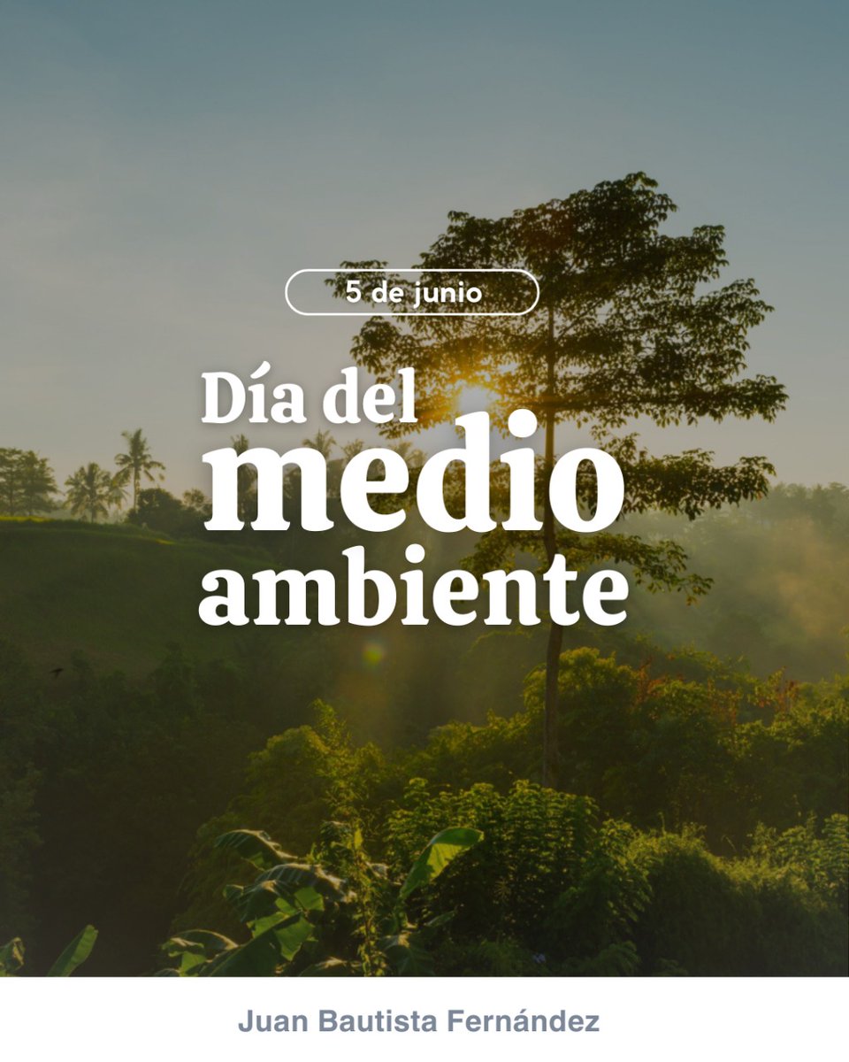 La naturaleza no genera residuos: todo se transforma, se reutiliza, se integra en nuevos ciclos. Las empresas que adoptan este enfoque no solo cuidan el ambiente, sino que descubren oportunidades de optimización que antes no veían. 
#economiacircular