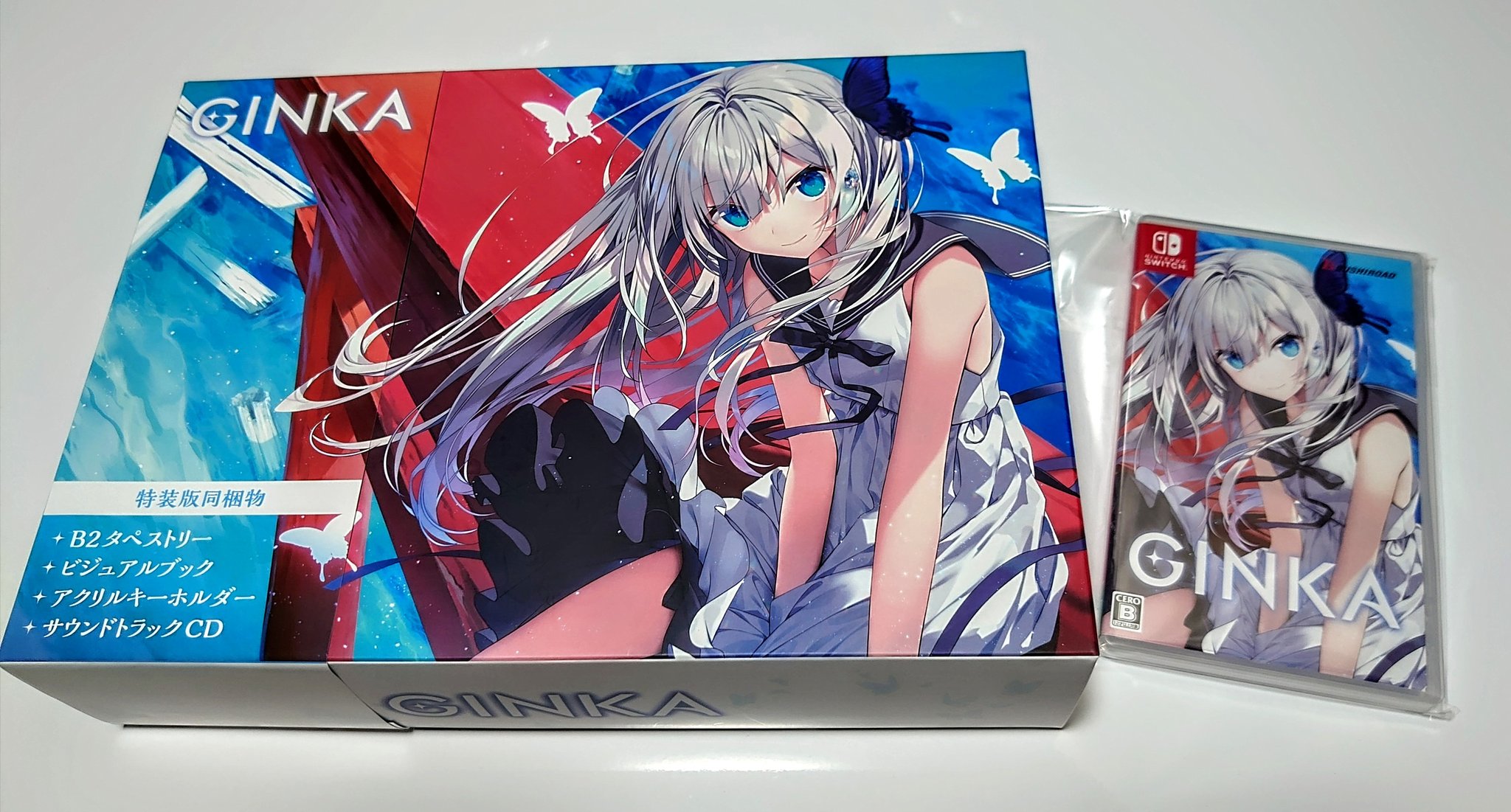 GINKA　特装版 ブシロード 【新品】Switch GINKA 特装版 : アークオンライン