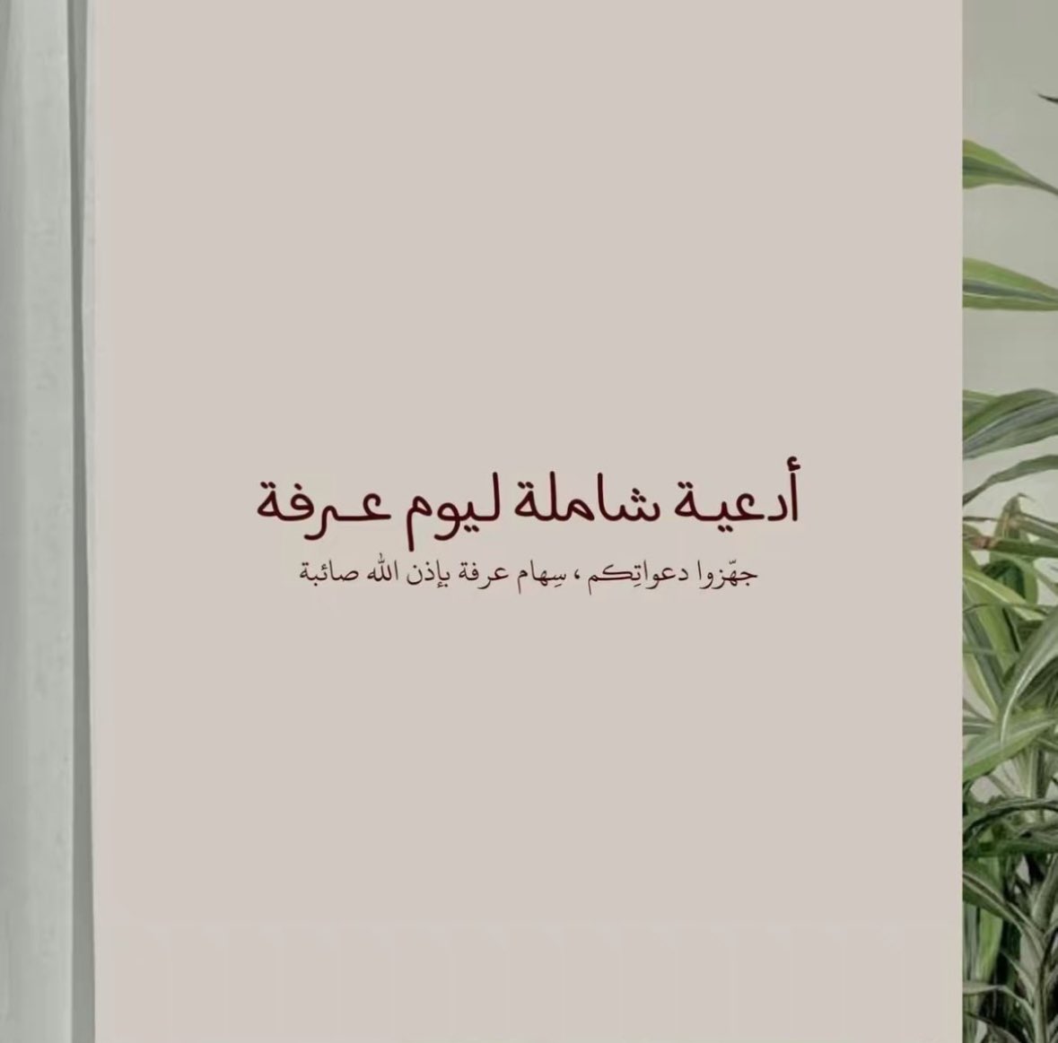 DEEMA|🐼 tweet media