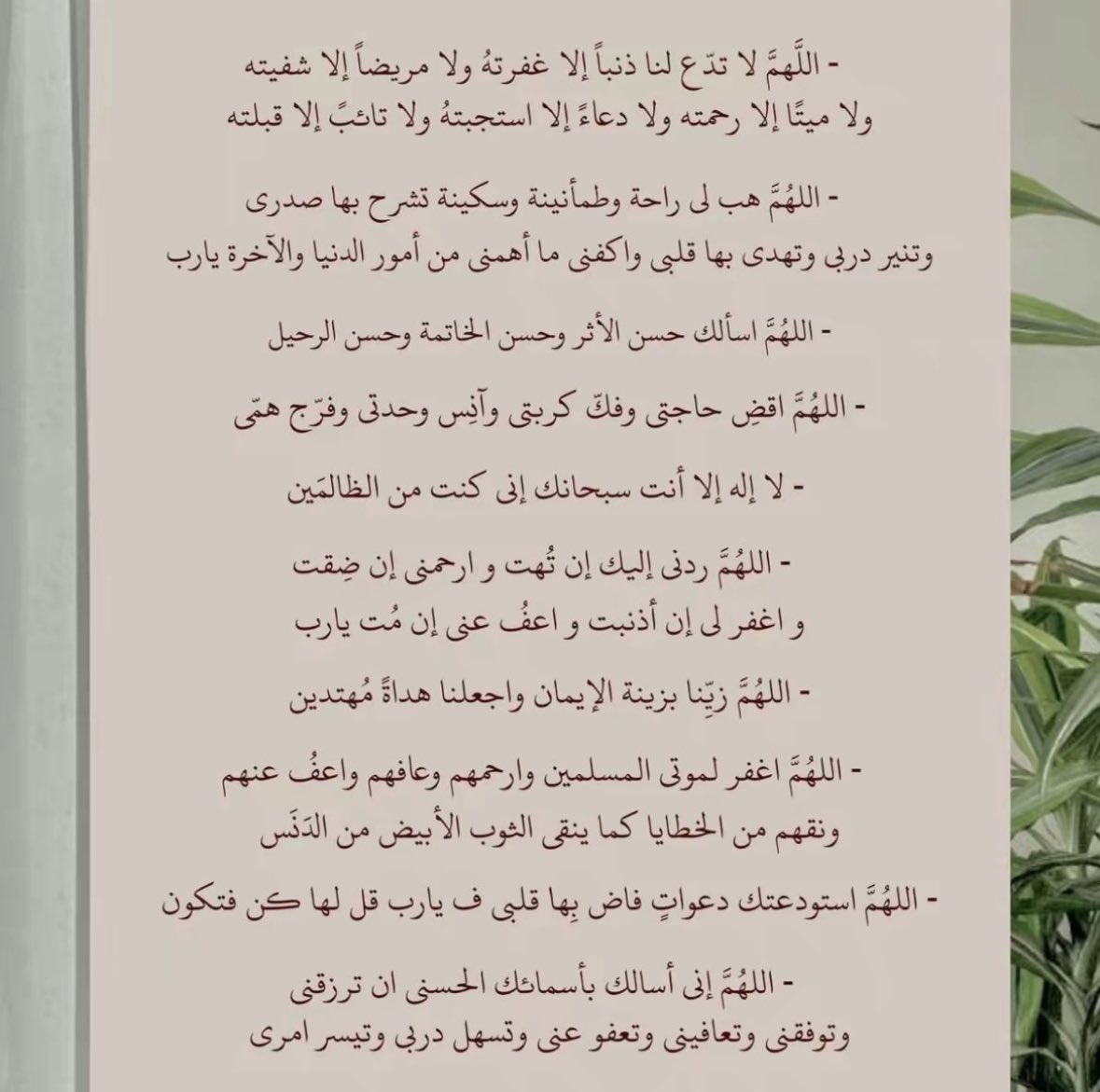 DEEMA|🐼 tweet media