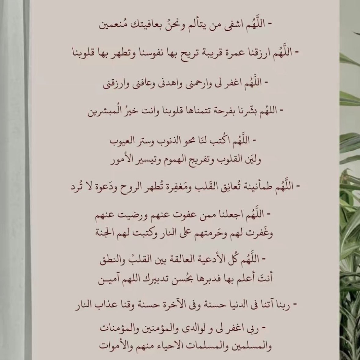 DEEMA|🐼 tweet media