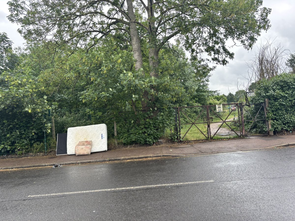 Lisa-Jane Moore tweet media