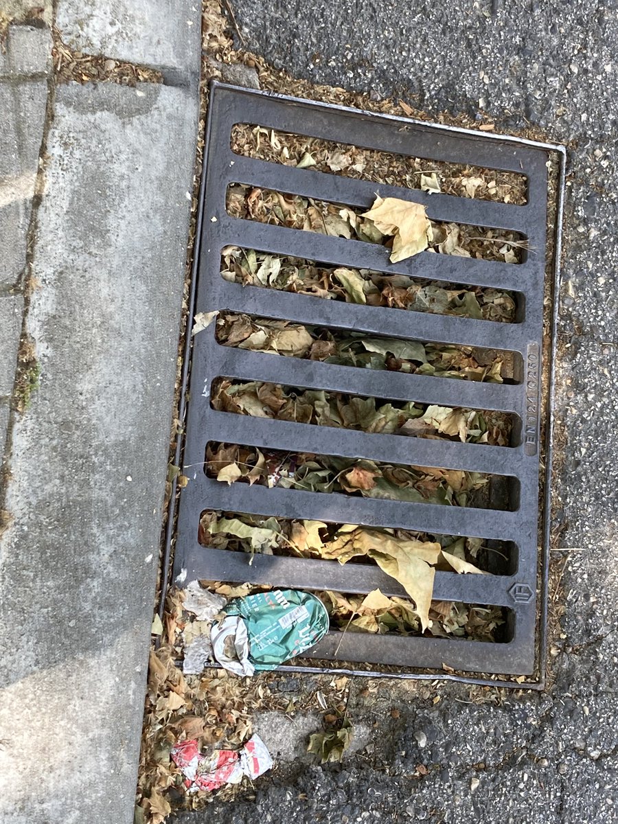 Ejiderpoc23's tweet photo. #LasRozas #18concejales 
Mantenimiento de la red de alcantarillado municipal de aguas pluviales 
LIBERTAD y SERVICIOS 
INNOVACIÓN y TALENTO 
La gestión del @pprozasdemadrid en el @Ayto_Las_Rozas https://t.co/bmGTWzPpFC