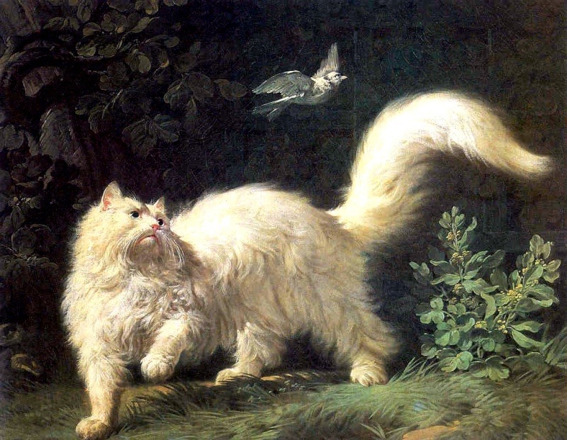 Jean-Jacques Bachelier, Un Chat Angola (An Angora Cat), oil on canvas, 18th century AD.