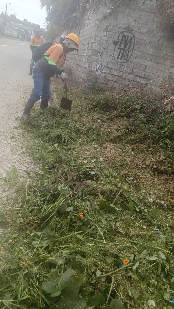 #Atención | Trabajamos en el mantenimiento de las áreas verdes en el sector de la Av. Río Coca, en la Autopista General Rumiñahui. Los trabajos no afectan a la circulación vehicular.

Conduce con precaución.