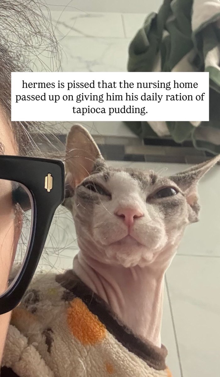 some Hermes content while I’ve been away