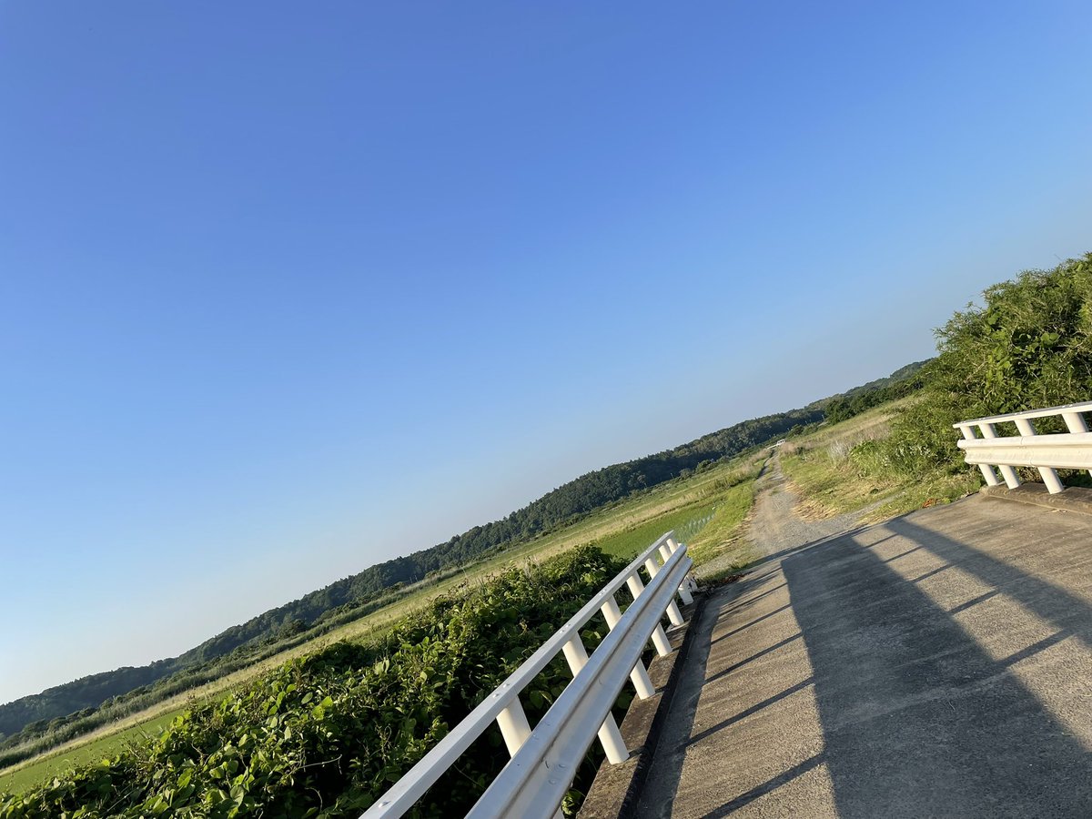 chipchippp5656's tweet photo. 夏？ https://t.co/UJMA0Ijvvq