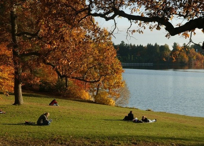 autumn girl tweet media