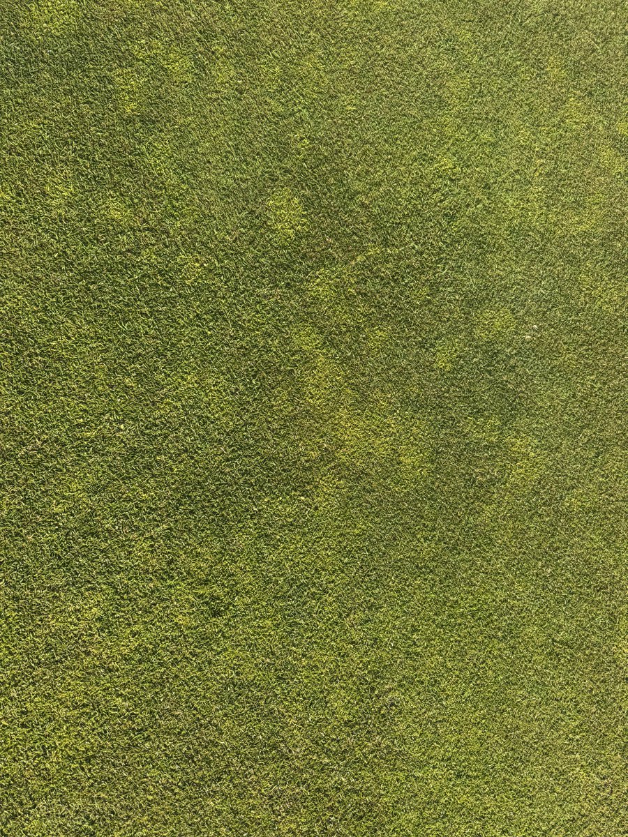 Tyler Guy tweet media